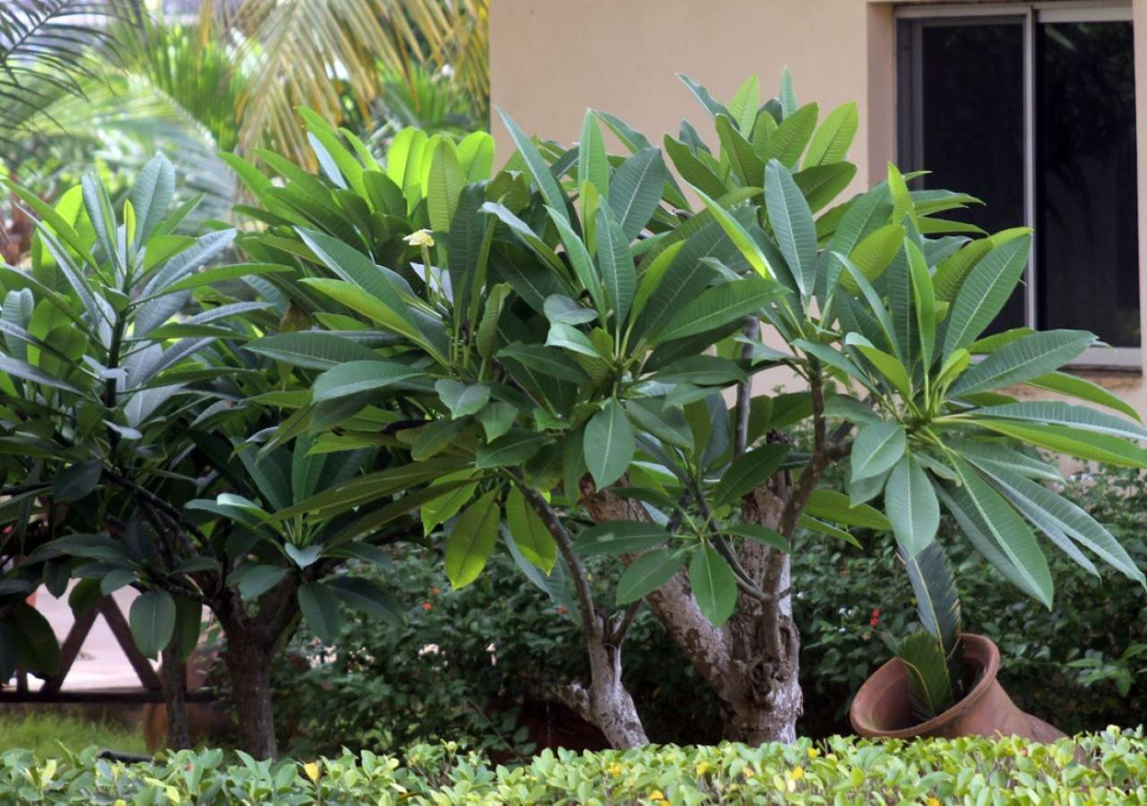 Cocobeach-Hotel Lome Exterior photo
